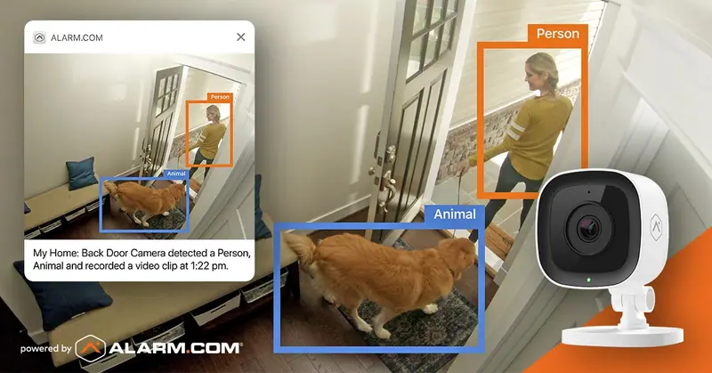Indoor camera view of a woman and dog at a back door labeled Person and Animal with an Alarm.com alert