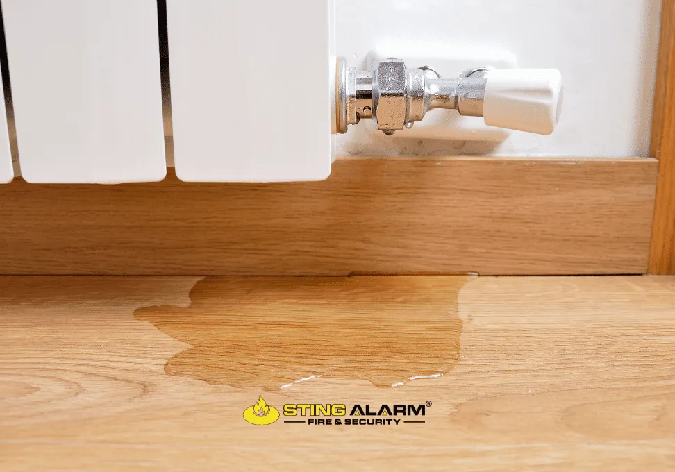 Water Leak Detection System