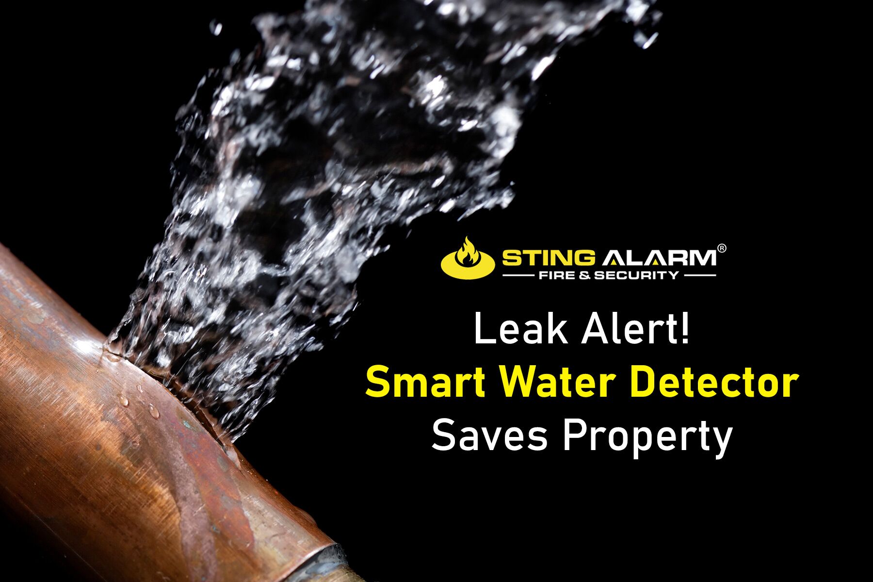 Smart Water Leak Detector