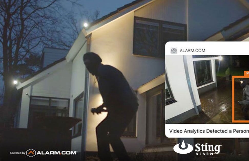 home burglar
