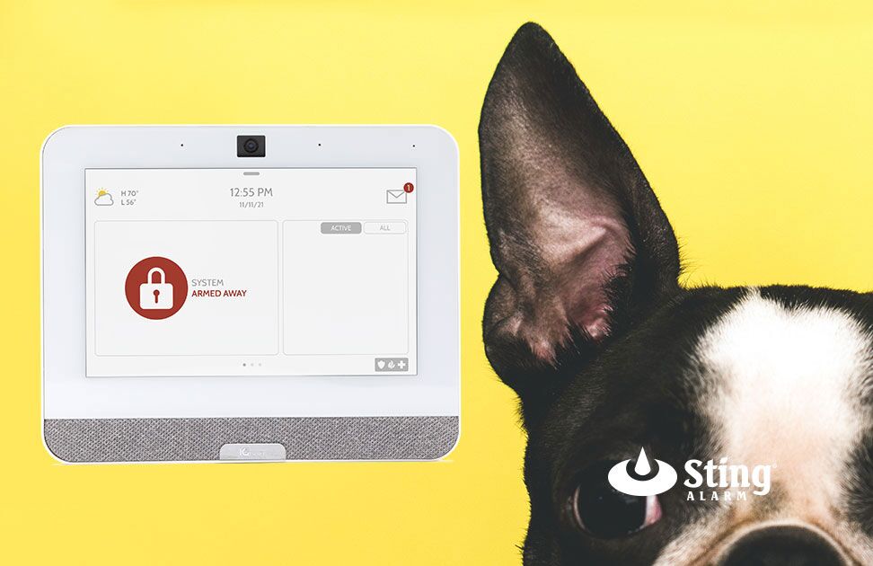 Smart Home Alarm System