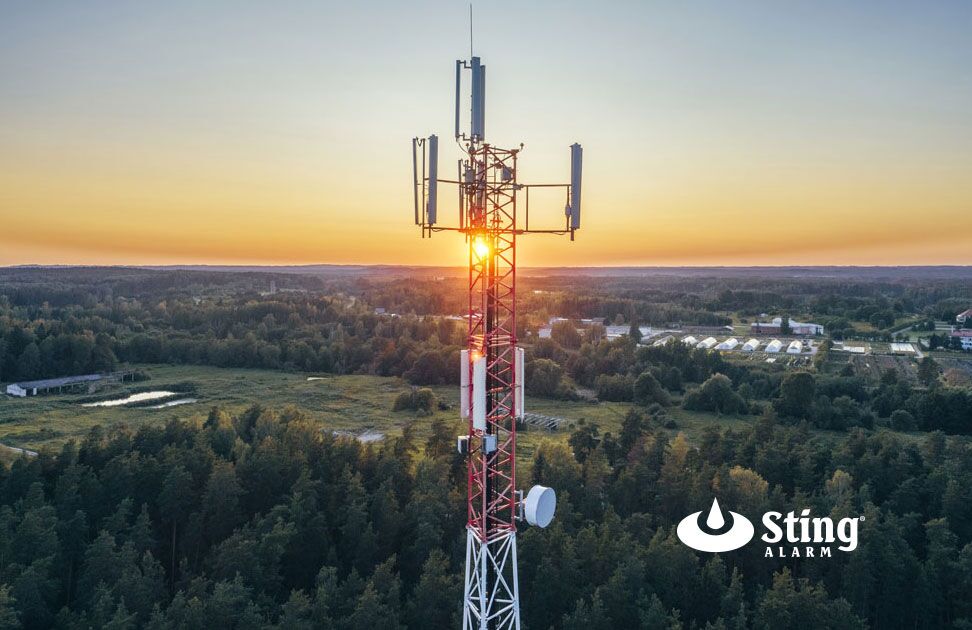 3G Sunset