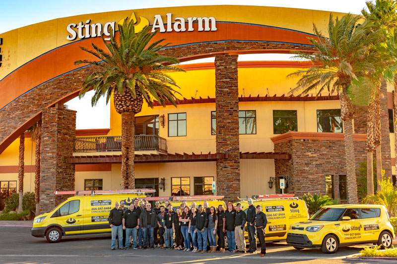 sting-alarm-team