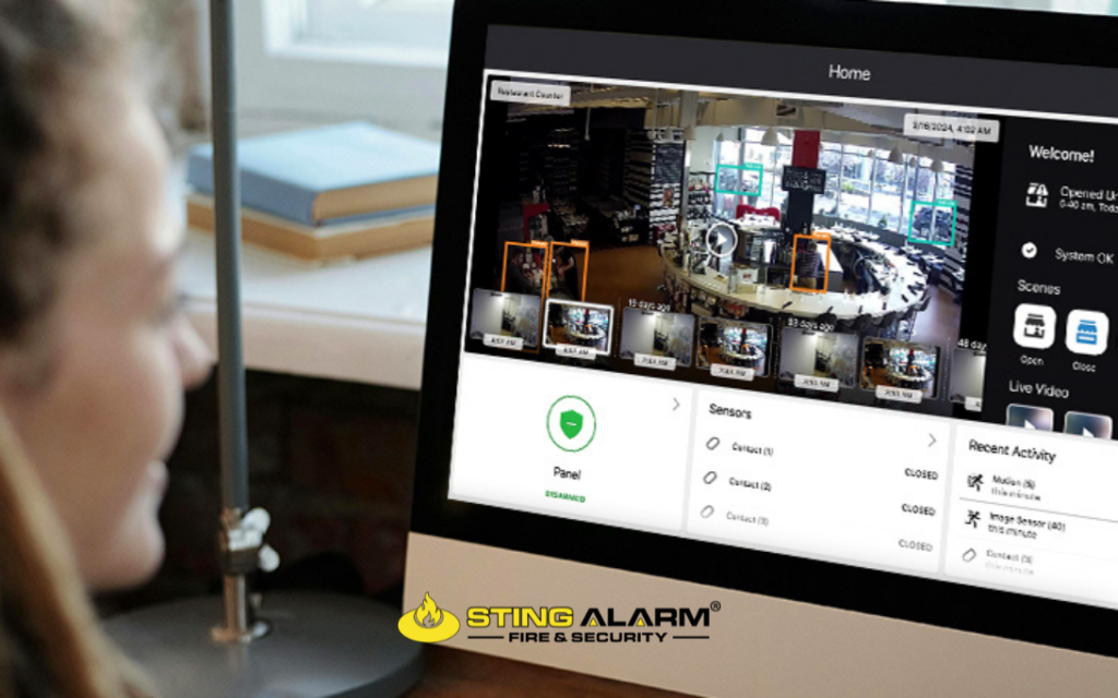 Business Security Systems