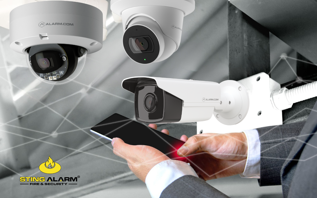 Business Security Systems