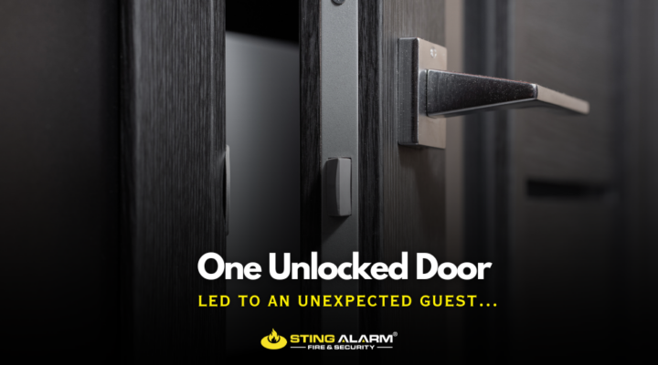 One unlocked door led to an unexpected guest…