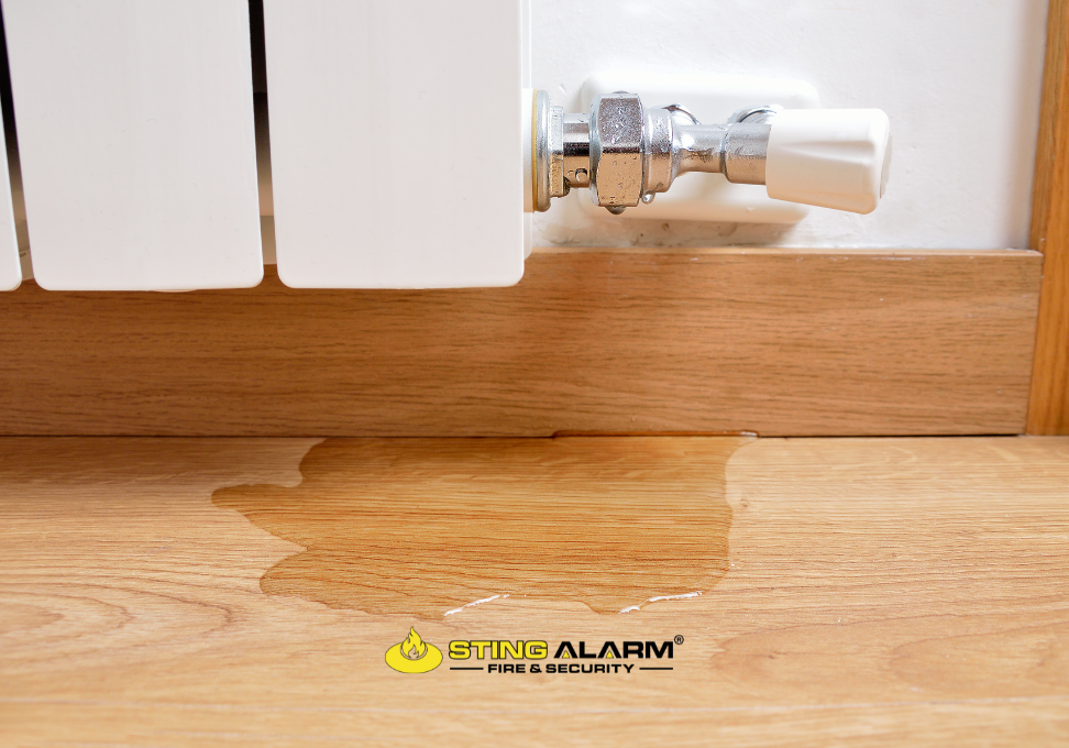 Water Leak Detection System