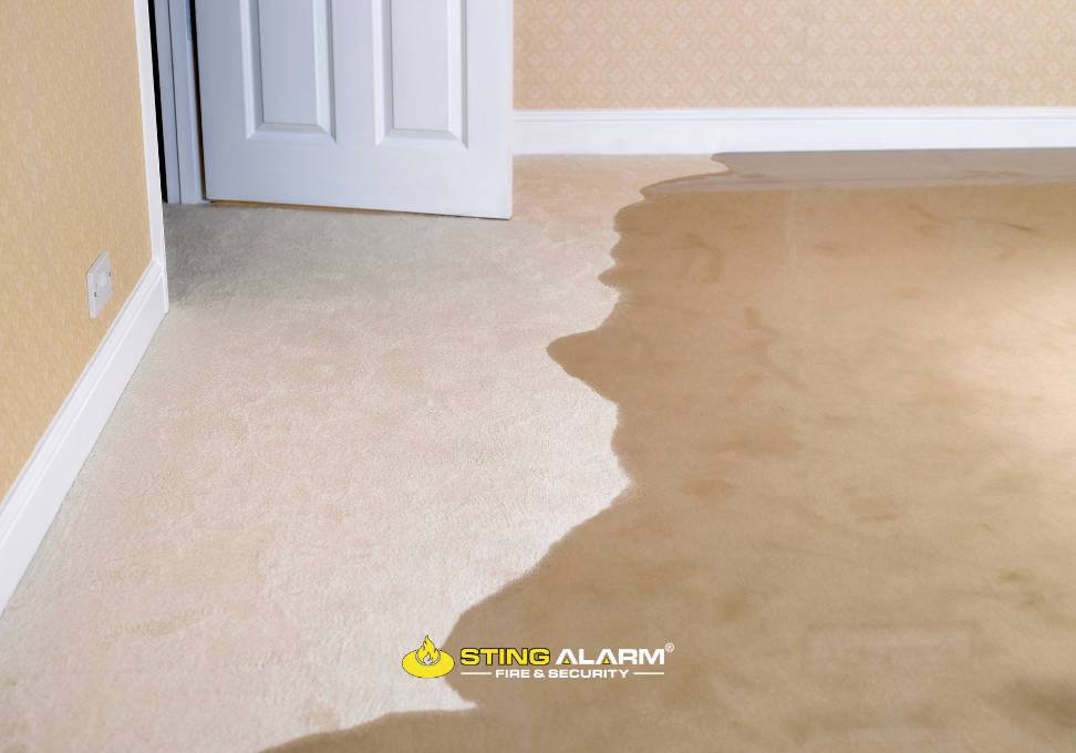 Smart Water Management Services