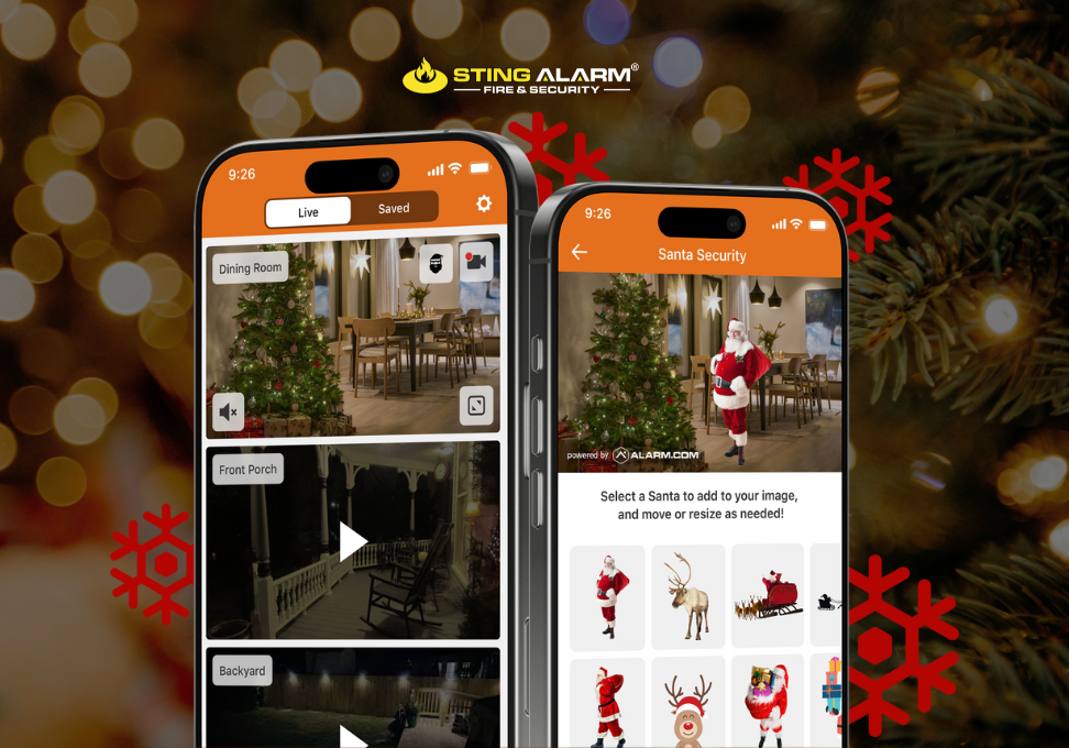 Las Vegas Security Cameras