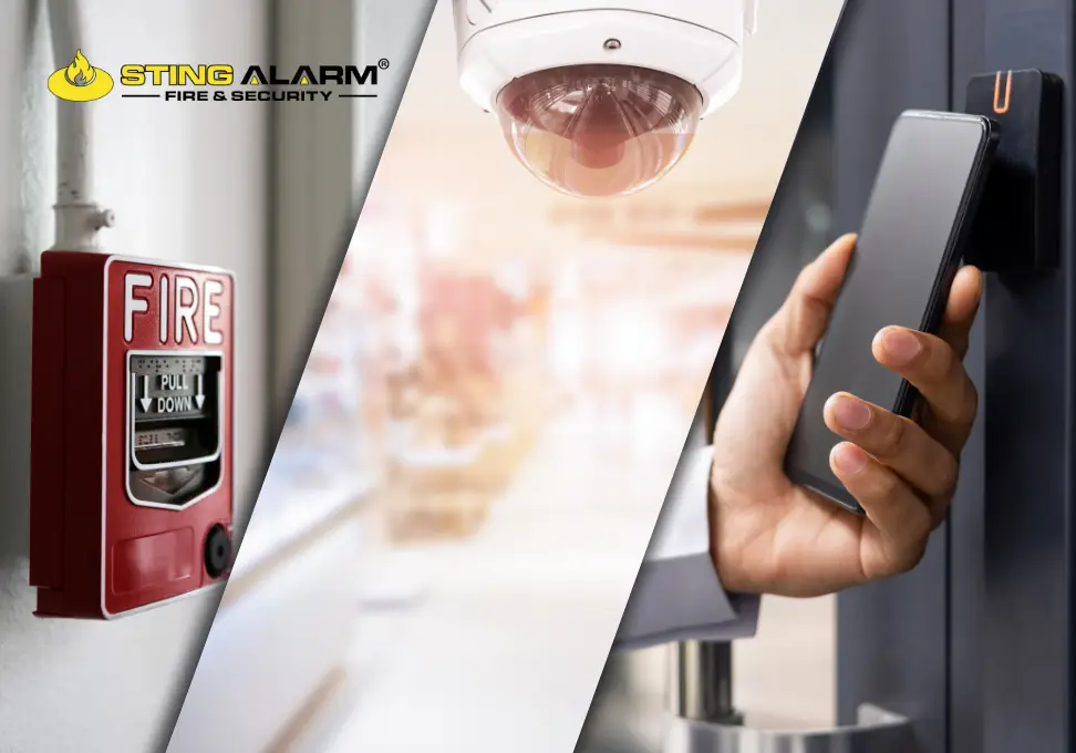 Las Vegas Security Cameras